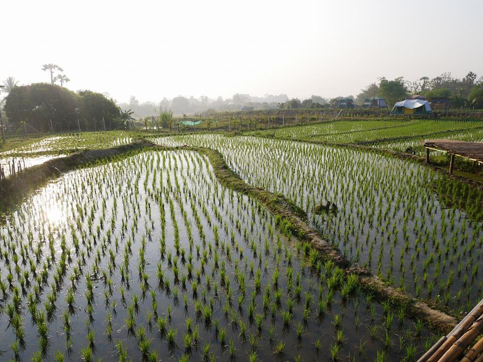 Nok Chan Mee Na Chom Thong Exterior photo